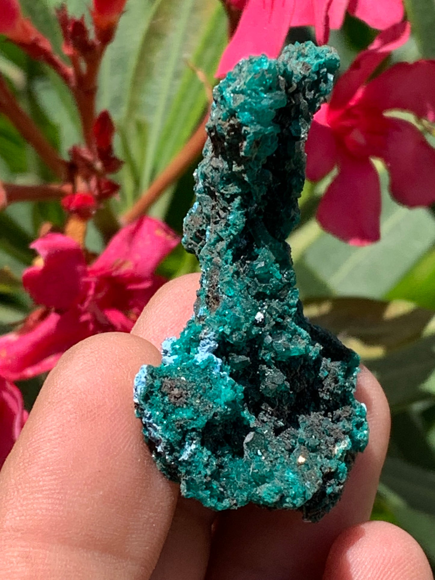 Dioptase, spécimen cristalisé de 52mm x 36 x 24 - 16 grammes ! Rare et puissante en minéralogie et lithothérapie !
