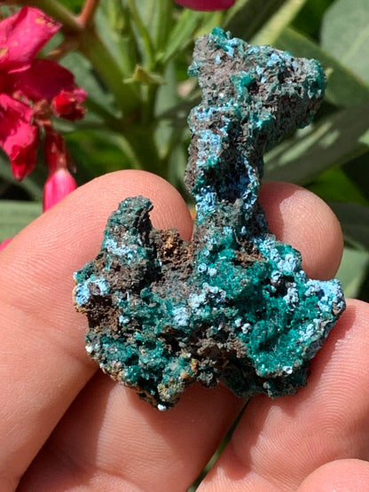 Dioptase, spécimen cristalisé de 52mm x 36 x 24 - 16 grammes ! Rare et puissante en minéralogie et lithothérapie !