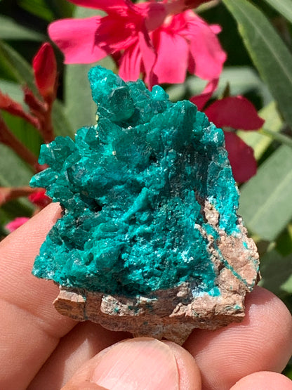 Dioptase, spécimen cristalisé de 52mm x 42 x 17 - 31 grammes ! Rare et puissante en minéralogie et lithothérapie !
