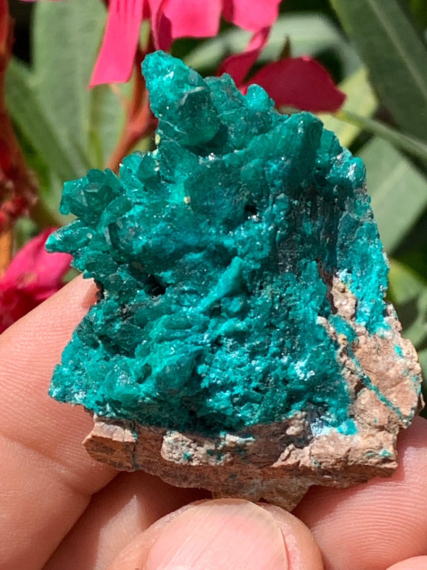 Dioptase, spécimen cristalisé de 52mm x 42 x 17 - 31 grammes ! Rare et puissante en minéralogie et lithothérapie !