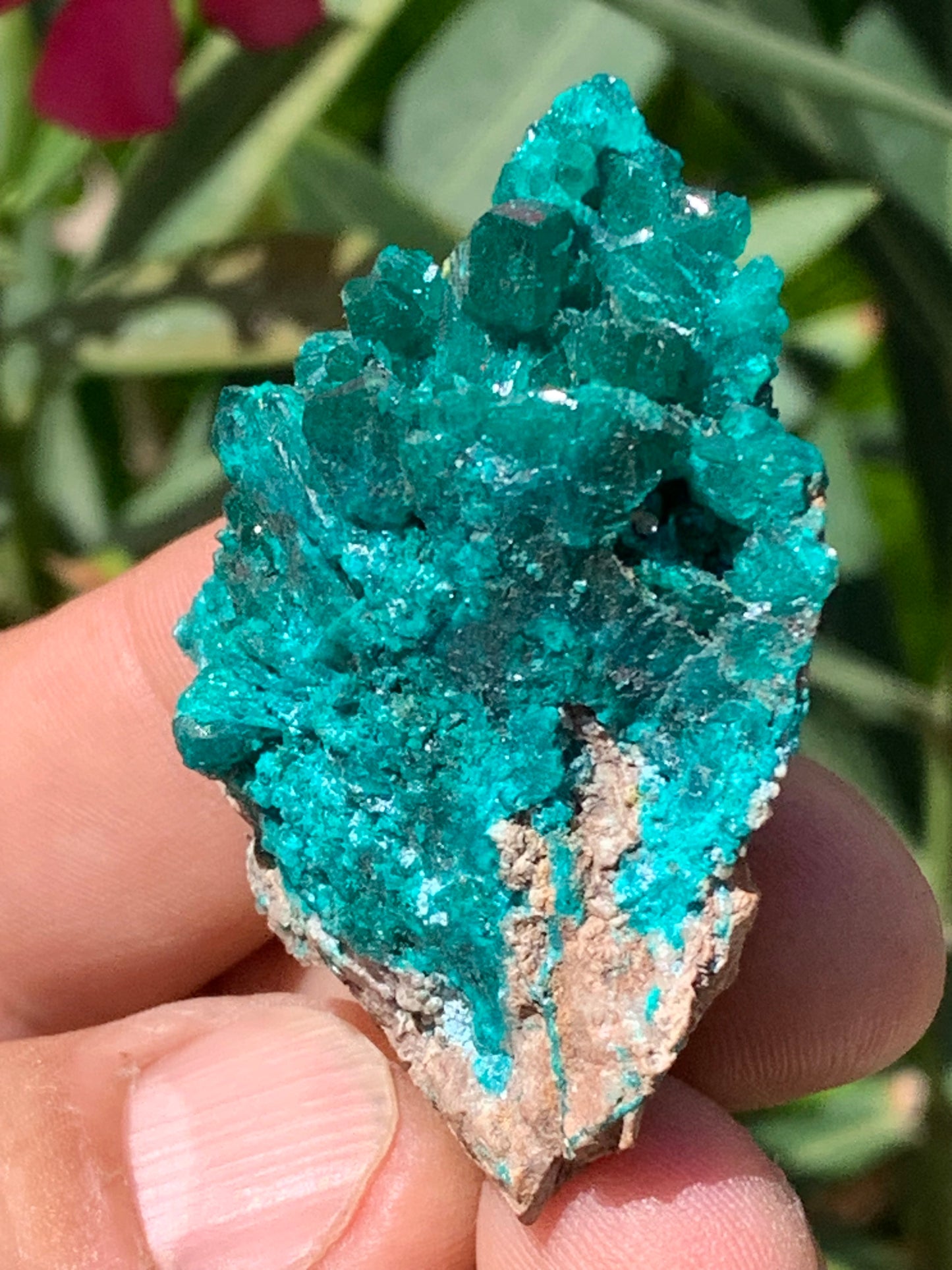 Dioptase, spécimen cristalisé de 52mm x 42 x 17 - 31 grammes ! Rare et puissante en minéralogie et lithothérapie !