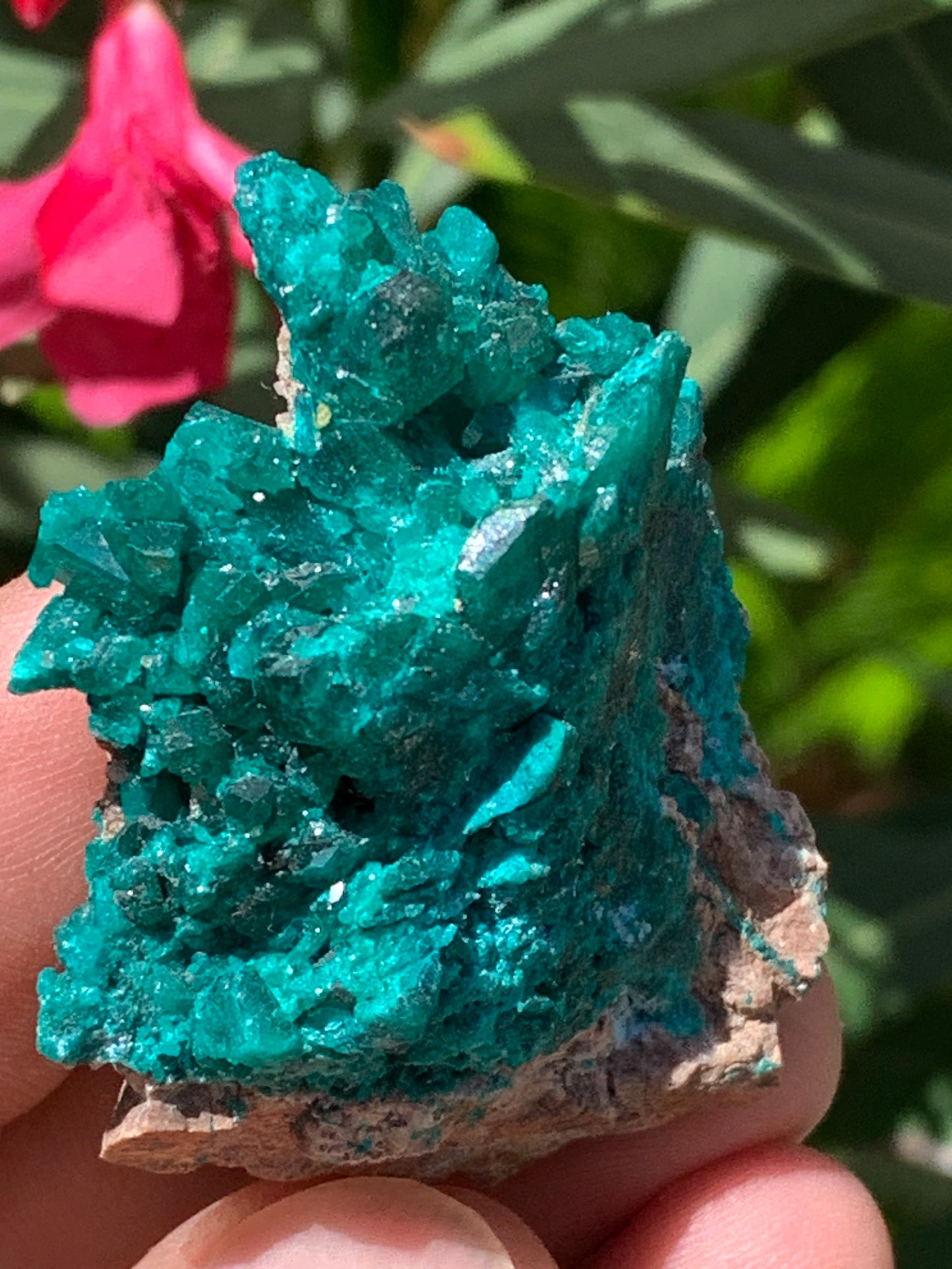 Dioptase, spécimen cristalisé de 52mm x 42 x 17 - 31 grammes ! Rare et puissante en minéralogie et lithothérapie !