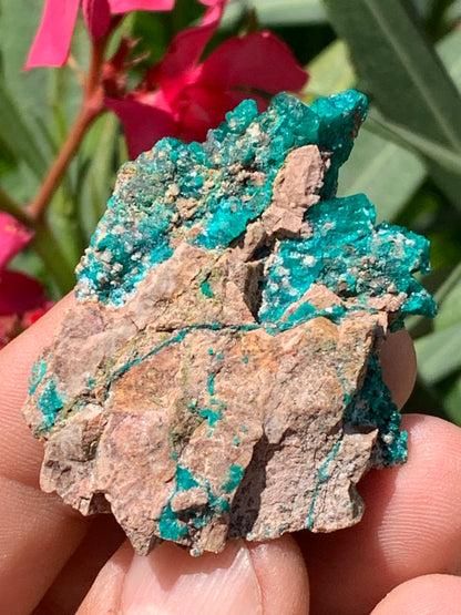Dioptase, spécimen cristalisé de 52mm x 42 x 17 - 31 grammes ! Rare et puissante en minéralogie et lithothérapie !