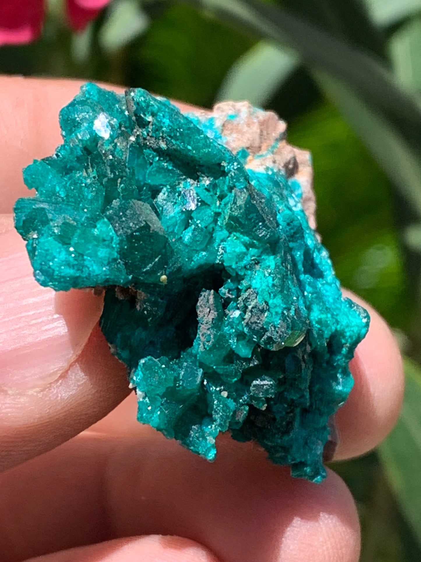Dioptase, spécimen cristalisé de 52mm x 42 x 17 - 31 grammes ! Rare et puissante en minéralogie et lithothérapie !