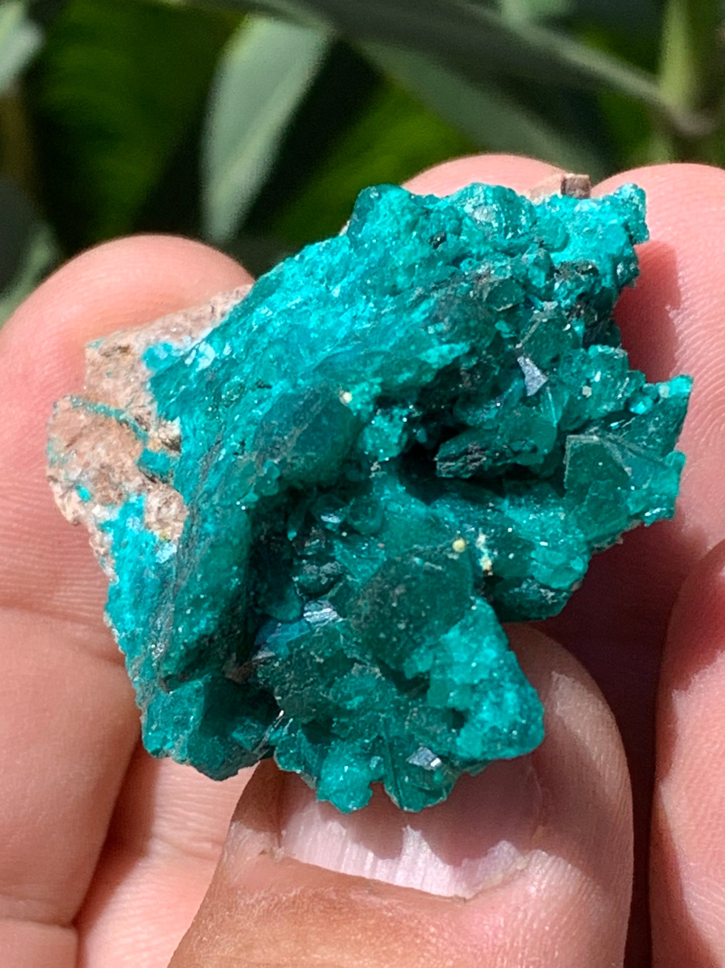 Dioptase, spécimen cristalisé de 52mm x 42 x 17 - 31 grammes ! Rare et puissante en minéralogie et lithothérapie !