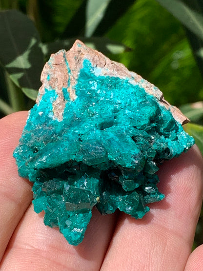 Dioptase, spécimen cristalisé de 52mm x 42 x 17 - 31 grammes ! Rare et puissante en minéralogie et lithothérapie !