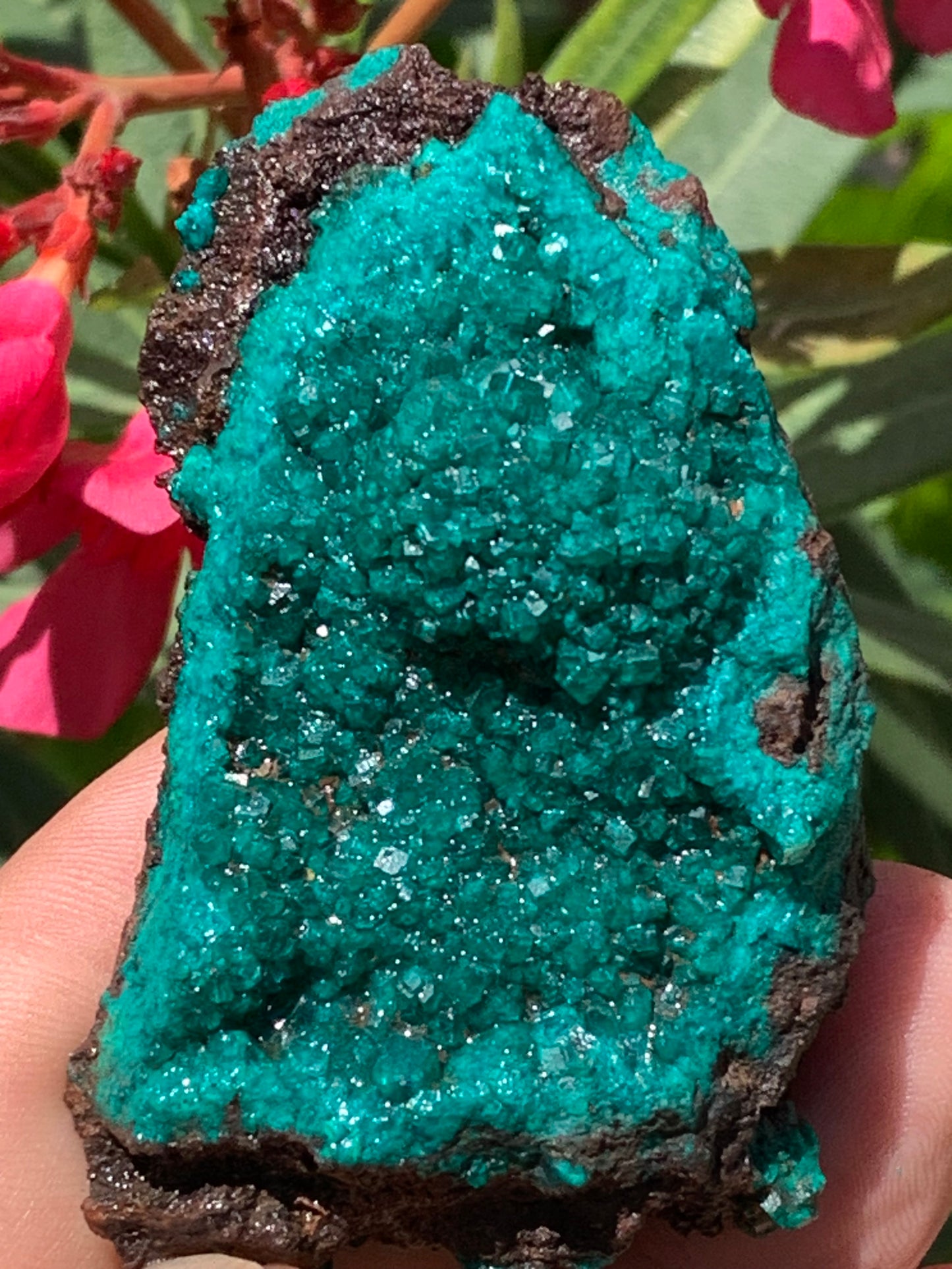 Dioptase, spécimen cristalisé de 70mm x 44 x 30 - 89,3 grammes ! Rare et puissante en minéralogie et lithothérapie !