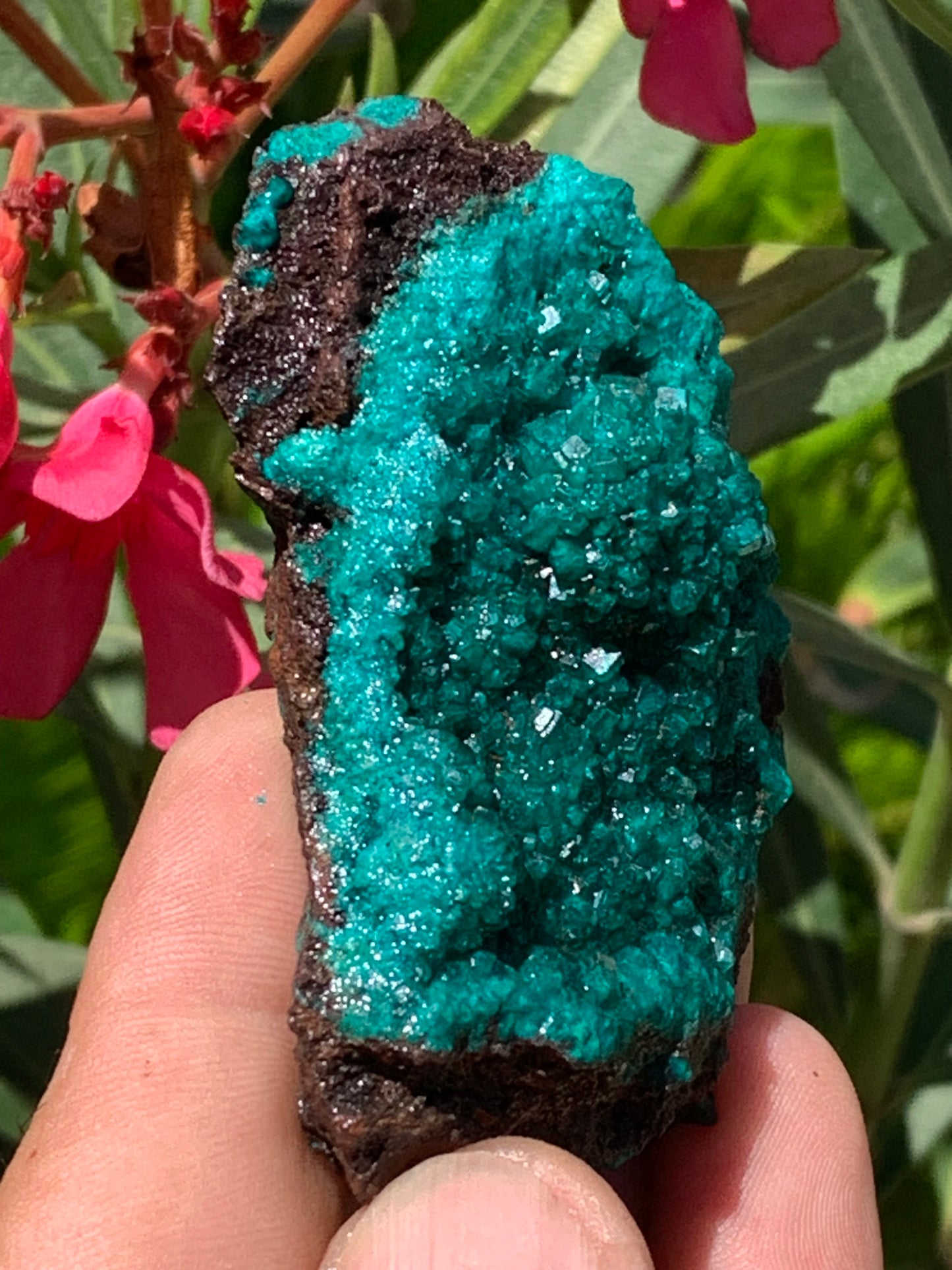 Dioptase, spécimen cristalisé de 70mm x 44 x 30 - 89,3 grammes ! Rare et puissante en minéralogie et lithothérapie !