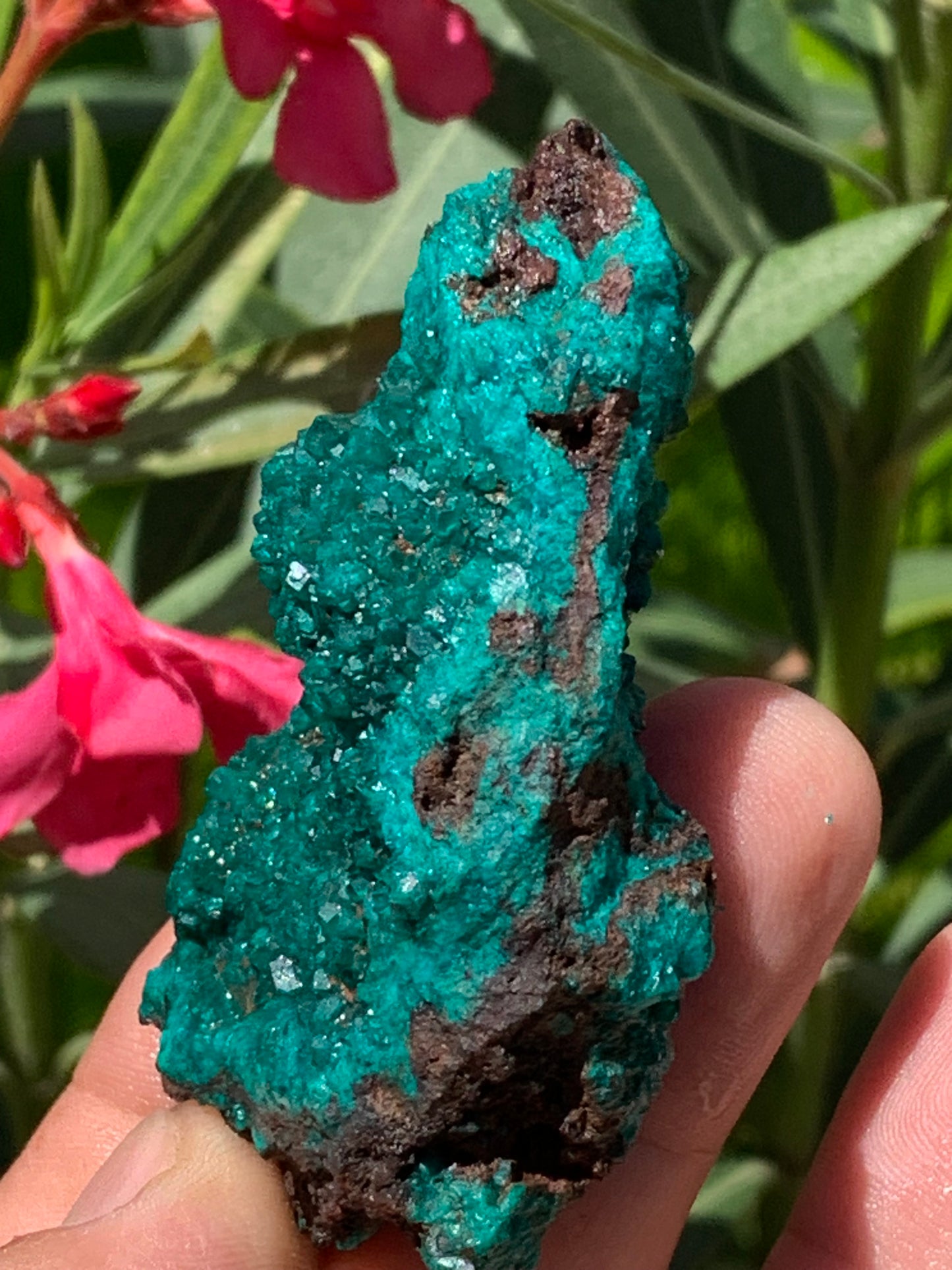 Dioptase, spécimen cristalisé de 70mm x 44 x 30 - 89,3 grammes ! Rare et puissante en minéralogie et lithothérapie !