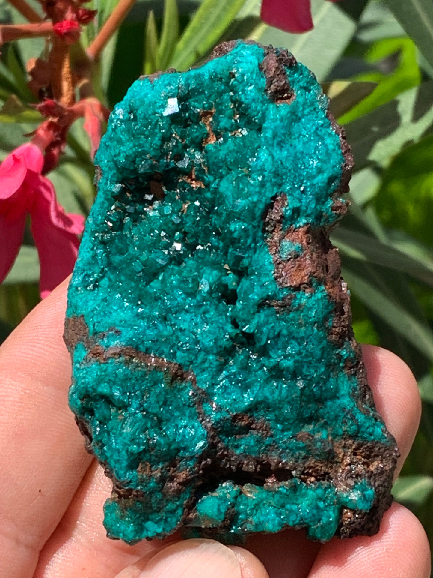 Dioptase, spécimen cristalisé de 70mm x 44 x 30 - 89,3 grammes ! Rare et puissante en minéralogie et lithothérapie !