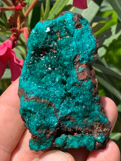 Dioptase, spécimen cristalisé de 70mm x 44 x 30 - 89,3 grammes ! Rare et puissante en minéralogie et lithothérapie !