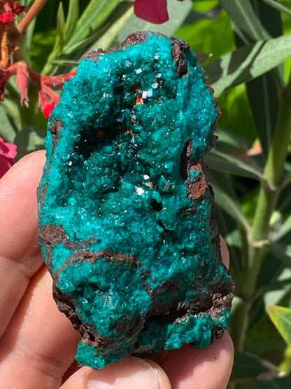 Dioptase, spécimen cristalisé de 70mm x 44 x 30 - 89,3 grammes ! Rare et puissante en minéralogie et lithothérapie !