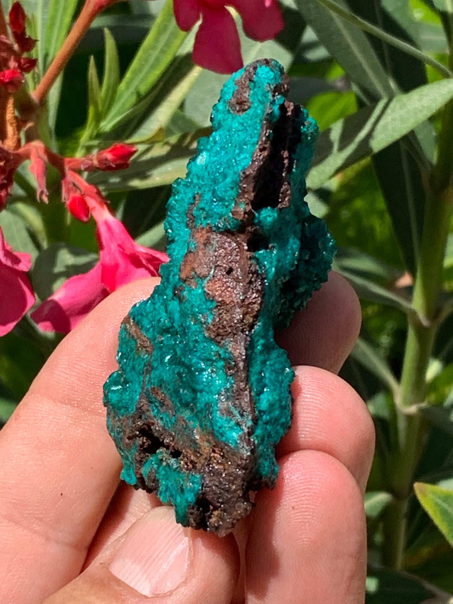 Dioptase, spécimen cristalisé de 70mm x 44 x 30 - 89,3 grammes ! Rare et puissante en minéralogie et lithothérapie !