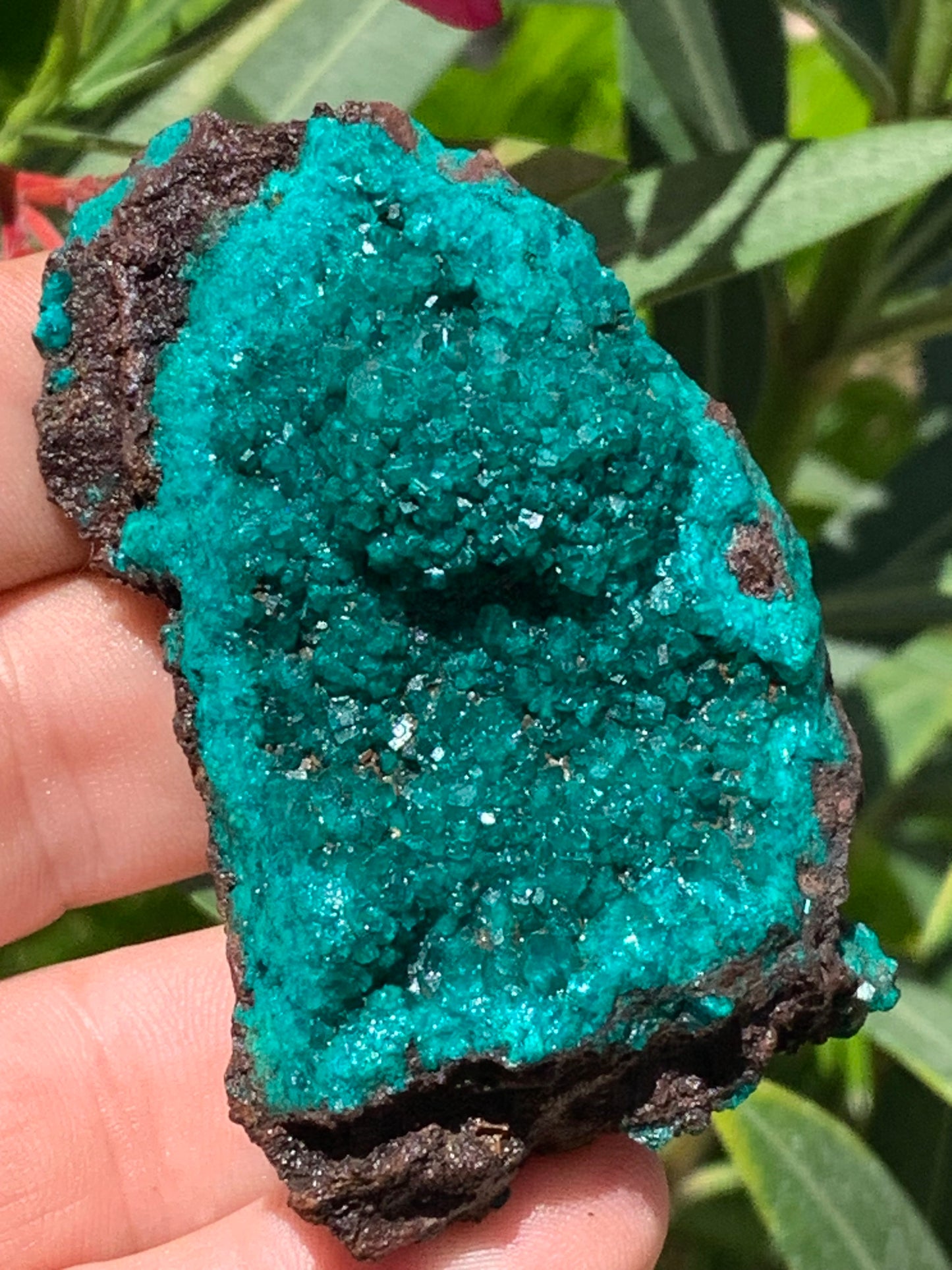 Dioptase, spécimen cristalisé de 70mm x 44 x 30 - 89,3 grammes ! Rare et puissante en minéralogie et lithothérapie !