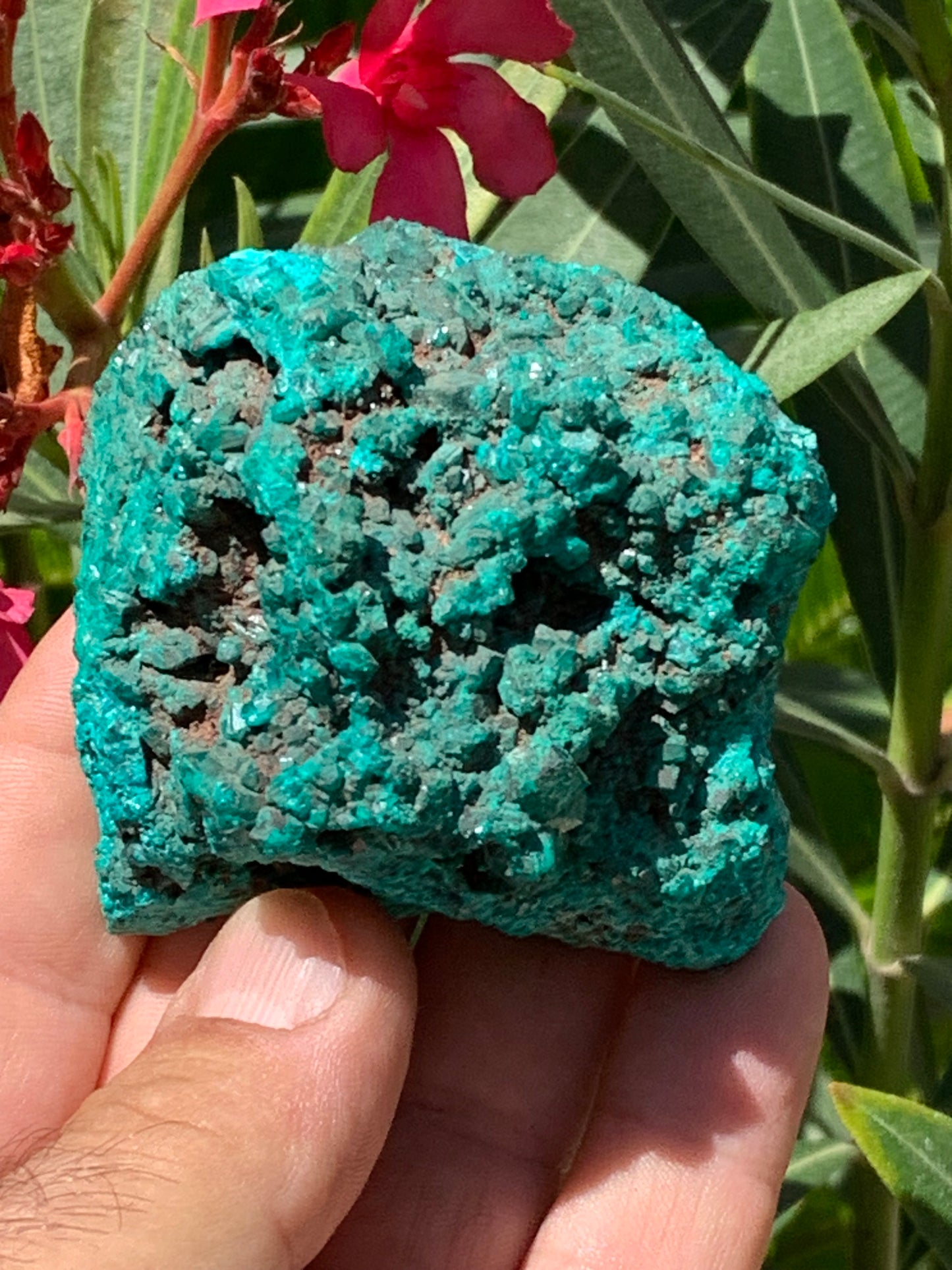 Dioptase, spécimen cristalisé de 65mm x 65 x 46 - 229,4 grammes ! Rare et puissante en minéralogie et lithothérapie !