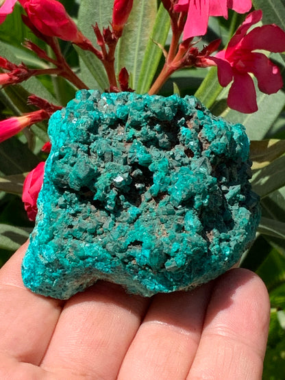 Dioptase, spécimen cristalisé de 65mm x 65 x 46 - 229,4 grammes ! Rare et puissante en minéralogie et lithothérapie !