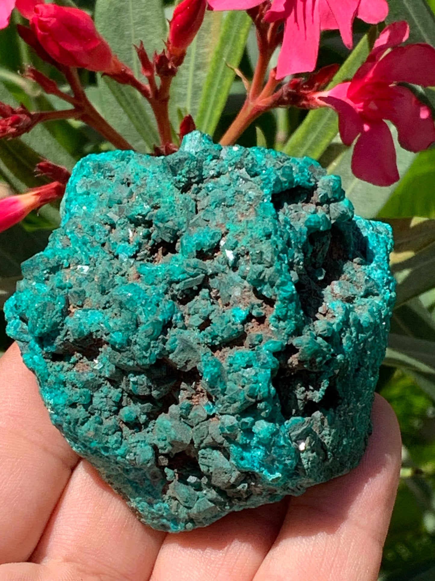Dioptase, spécimen cristalisé de 65mm x 65 x 46 - 229,4 grammes ! Rare et puissante en minéralogie et lithothérapie !