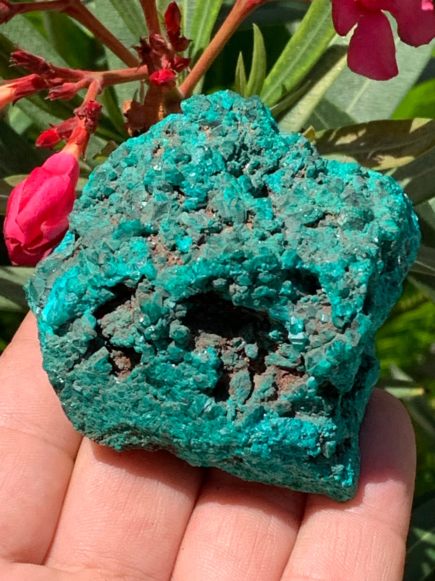 Dioptase, spécimen cristalisé de 65mm x 65 x 46 - 229,4 grammes ! Rare et puissante en minéralogie et lithothérapie !