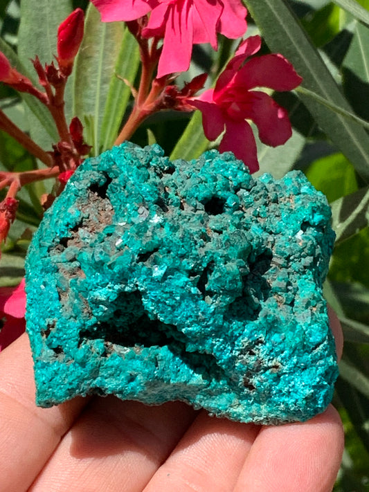 Dioptase, spécimen cristalisé de 65mm x 65 x 46 - 229,4 grammes ! Rare et puissante en minéralogie et lithothérapie !