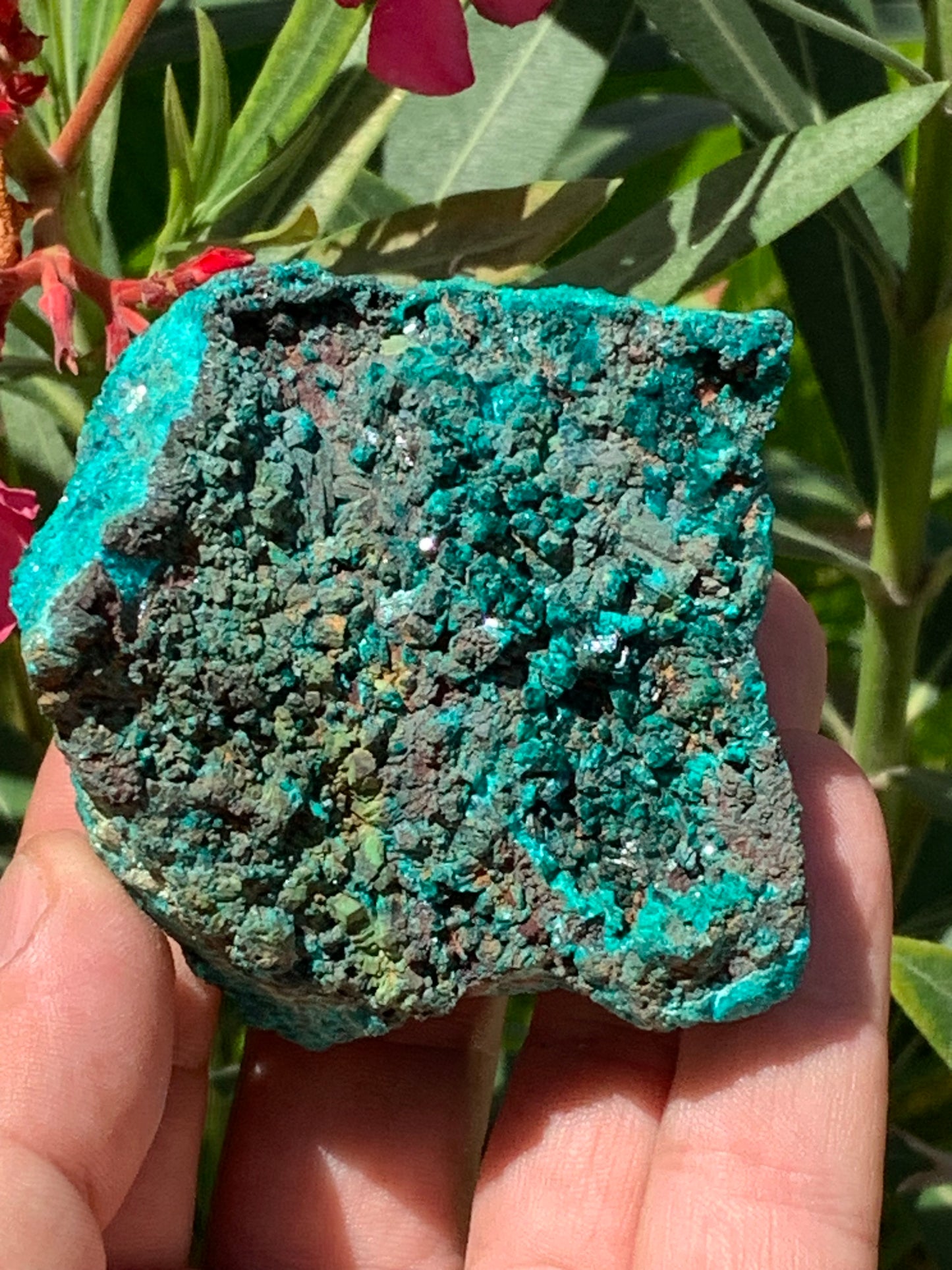 Dioptase, spécimen cristalisé de 65mm x 65 x 46 - 229,4 grammes ! Rare et puissante en minéralogie et lithothérapie !