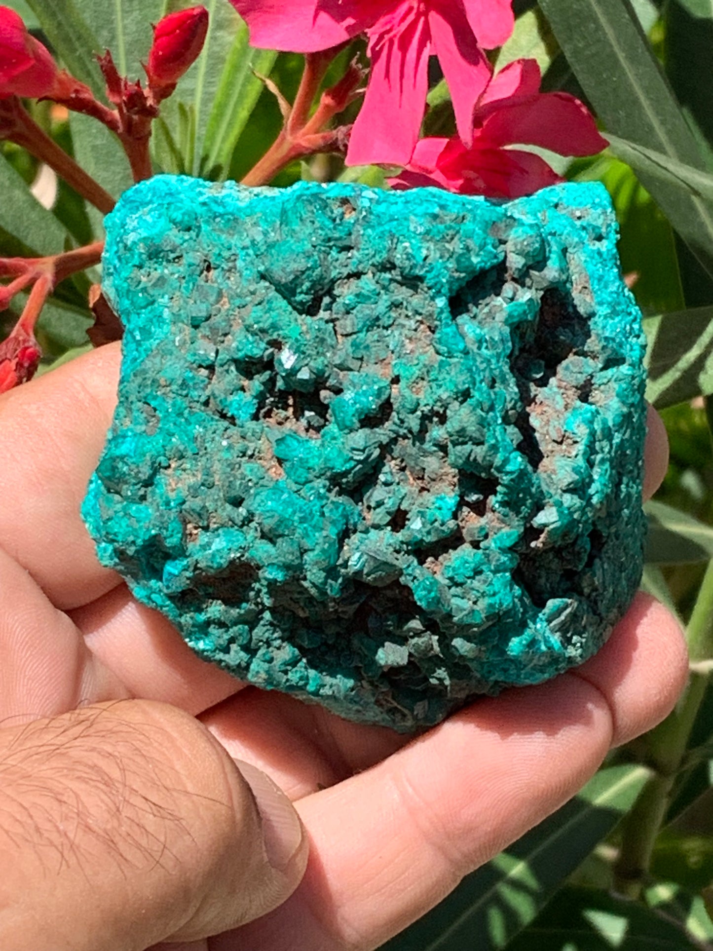 Dioptase, spécimen cristalisé de 65mm x 65 x 46 - 229,4 grammes ! Rare et puissante en minéralogie et lithothérapie !