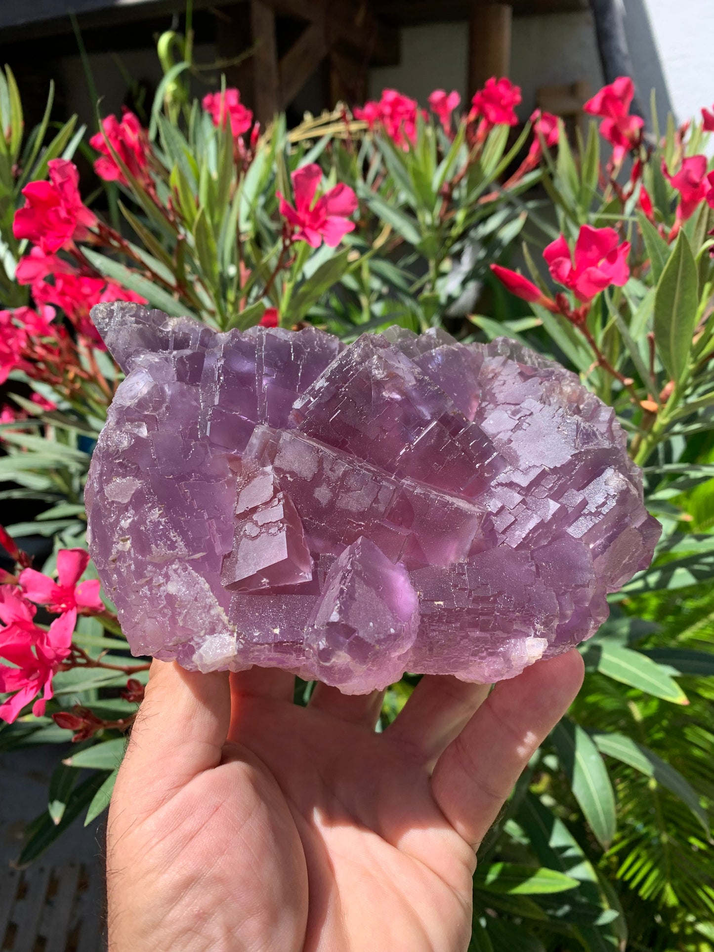 Fluorite violette, macle de gros cristaux de 15,5cm x 11,5 x 8,5 / 2240 grammes. Belle qualité, magnifique pièce !