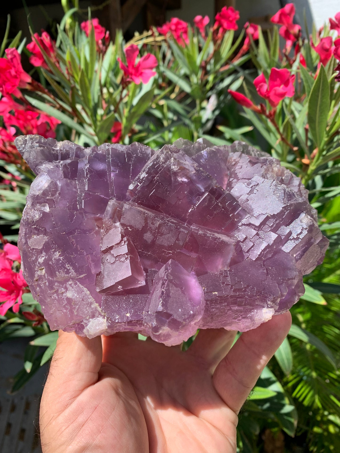 Fluorite violette, macle de gros cristaux de 15,5cm x 11,5 x 8,5 / 2240 grammes. Belle qualité, magnifique pièce !