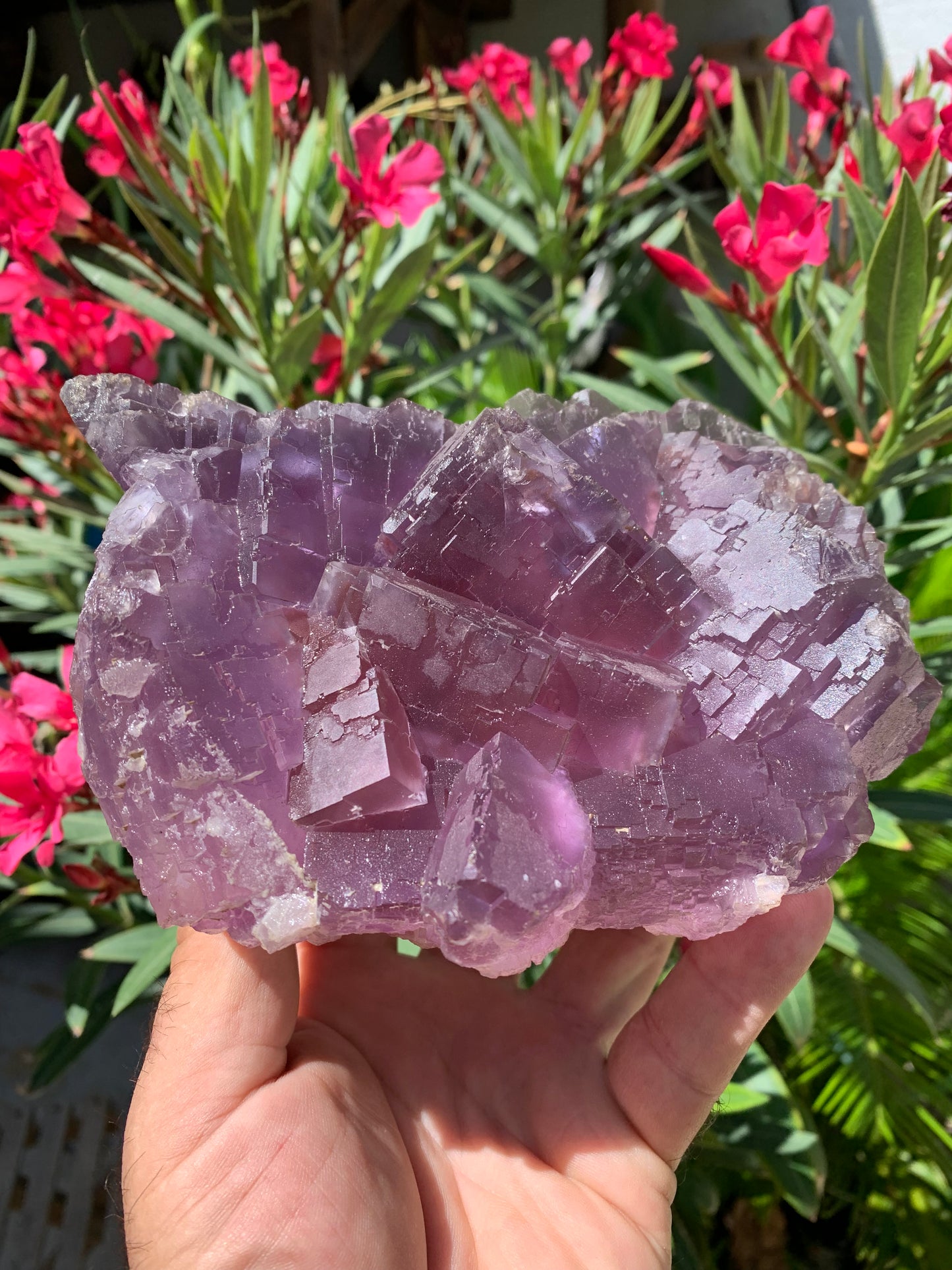 Fluorite violette, macle de gros cristaux de 15,5cm x 11,5 x 8,5 / 2240 grammes. Belle qualité, magnifique pièce !