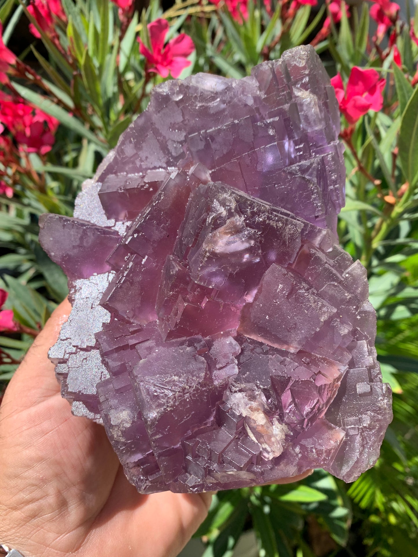 Fluorite violette, macle de gros cristaux de 15,5cm x 11,5 x 8,5 / 2240 grammes. Belle qualité, magnifique pièce !