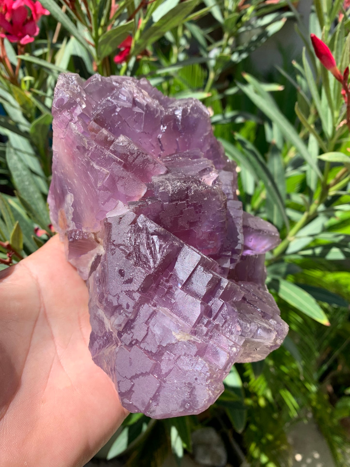 Fluorite violette, macle de gros cristaux de 15,5cm x 11,5 x 8,5 / 2240 grammes. Belle qualité, magnifique pièce !