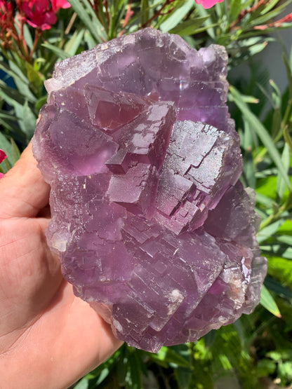 Fluorite violette, macle de gros cristaux de 15,5cm x 11,5 x 8,5 / 2240 grammes. Belle qualité, magnifique pièce !