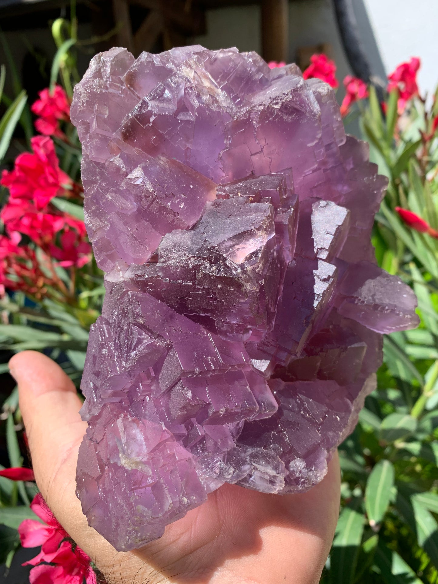 Fluorite violette, macle de gros cristaux de 15,5cm x 11,5 x 8,5 / 2240 grammes. Belle qualité, magnifique pièce !