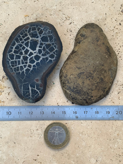 Septaria, spécimen entier sciée en 2 moitiés, taille 80 x 52 x 25 mm. Superbe pièce pour vos collections, expositions...