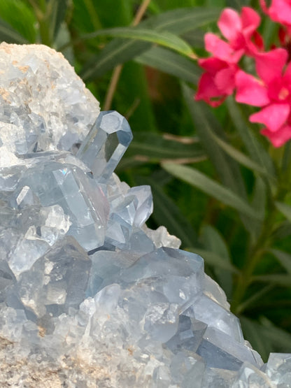 Célestite/ Célestine ou Quartz Bleu, géode de 2,274 kilogrammes, 17 x 10,3 x 9,5 centimètres. Superbe qualité, parfait pour vos collections, expositions...