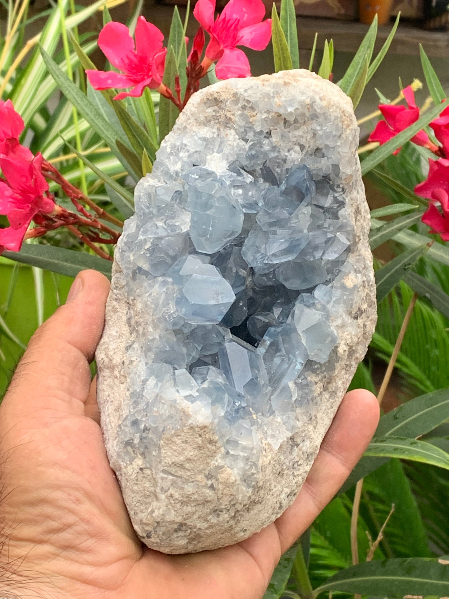 Célestite/ Célestine ou Quartz Bleu, géode de 2,274 kilogrammes, 17 x 10,3 x 9,5 centimètres. Superbe qualité, parfait pour vos collections, expositions...