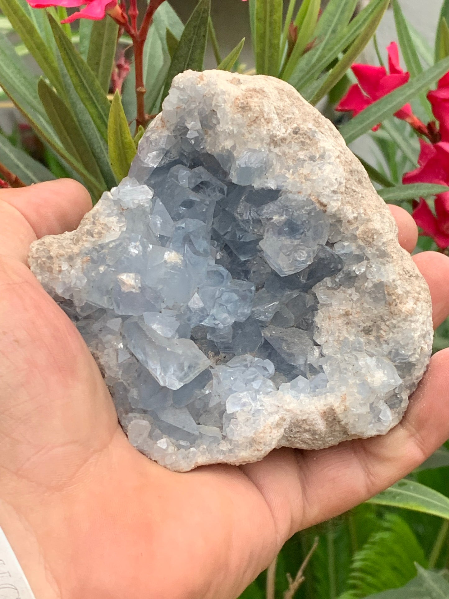Célestite/ Célestine ou Quartz Bleu, géode de 817 grammes, 105 x 95 x 60 millimètres. Superbe qualité, parfait pour vos collections, expositions...