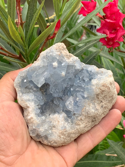 Célestite/ Célestine ou Quartz Bleu, géode de 817 grammes, 105 x 95 x 60 millimètres. Superbe qualité, parfait pour vos collections, expositions...