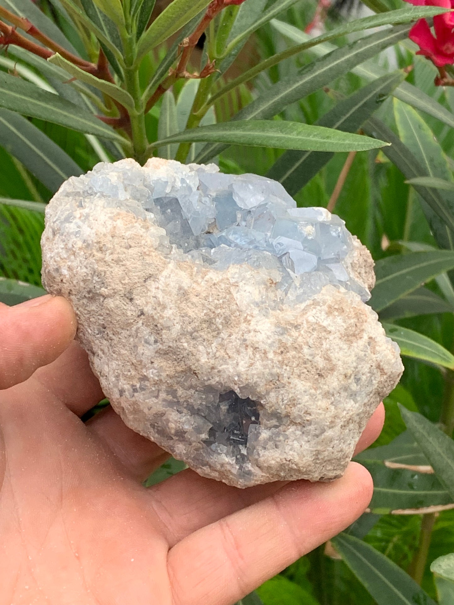 Célestite/ Célestine ou Quartz Bleu, géode de 817 grammes, 105 x 95 x 60 millimètres. Superbe qualité, parfait pour vos collections, expositions...