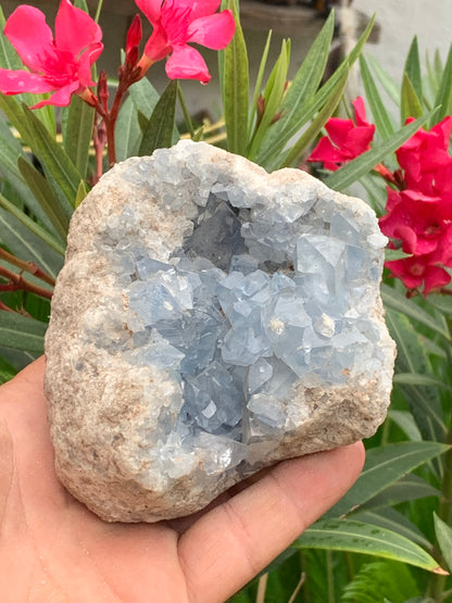 Célestite/ Célestine ou Quartz Bleu, géode de 817 grammes, 105 x 95 x 60 millimètres. Superbe qualité, parfait pour vos collections, expositions...