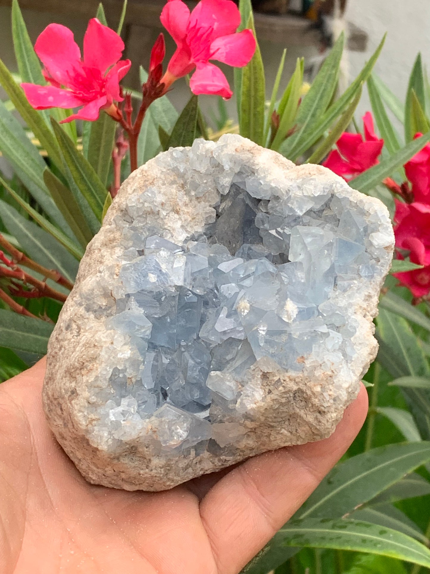 Célestite/ Célestine ou Quartz Bleu, géode de 817 grammes, 105 x 95 x 60 millimètres. Superbe qualité, parfait pour vos collections, expositions...