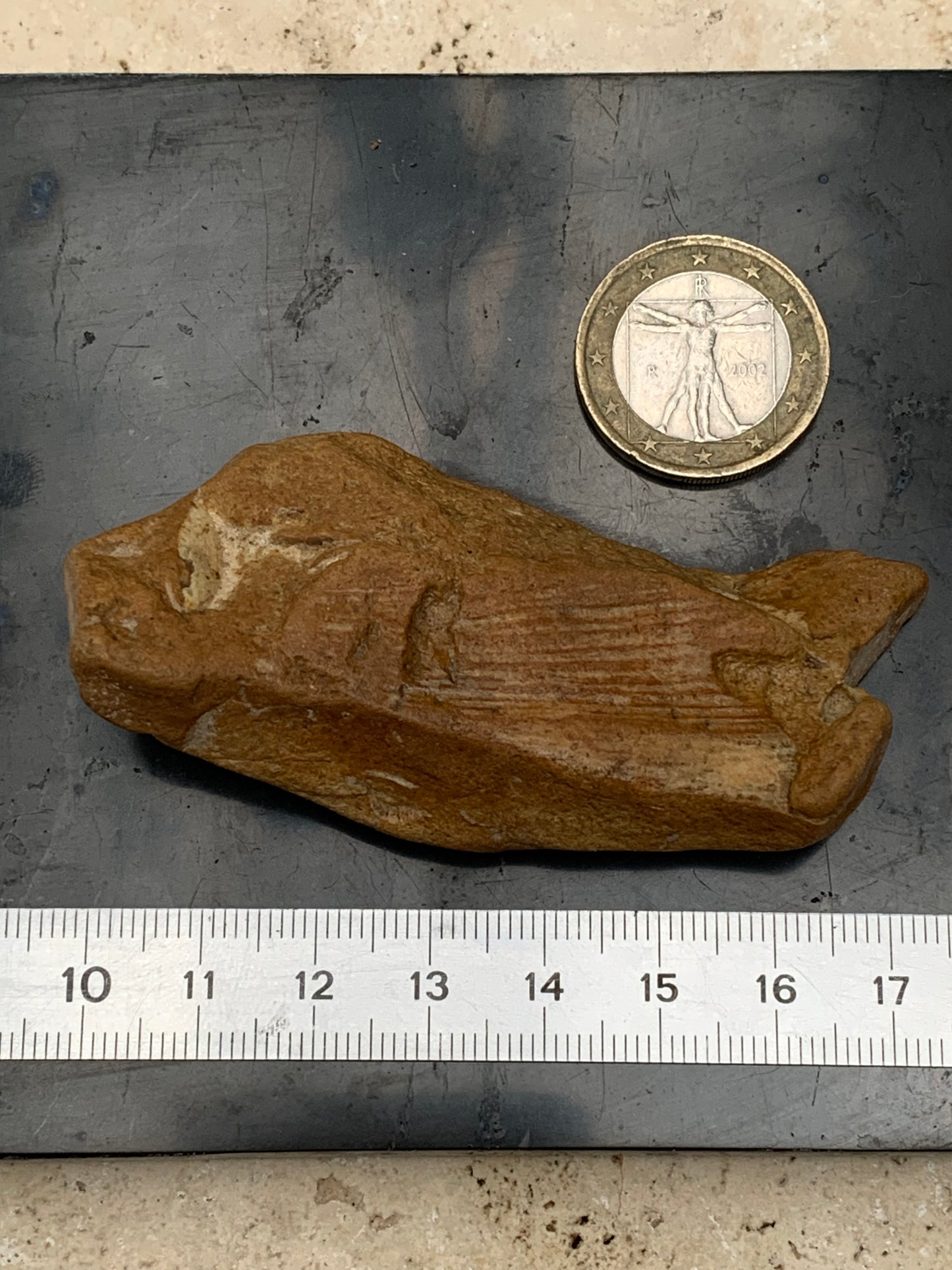 Poisson fossilisé de 7,4 x 3,6 x 1,7 centimètres / 44,7 grammes. Parfait pour décoration, collection ou exposition...