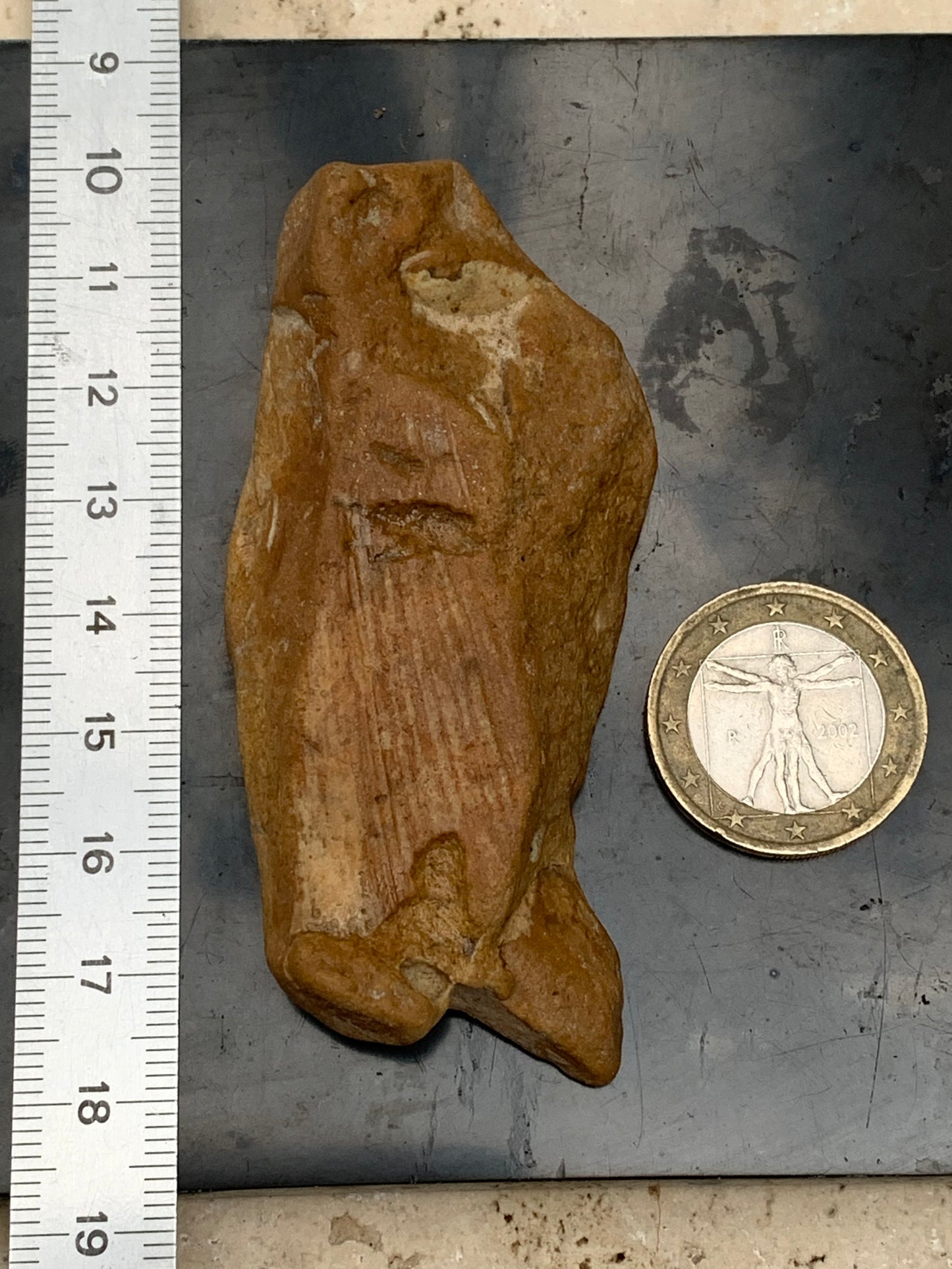 Poisson fossilisé de 7,4 x 3,6 x 1,7 centimètres / 44,7 grammes. Parfait pour décoration, collection ou exposition...