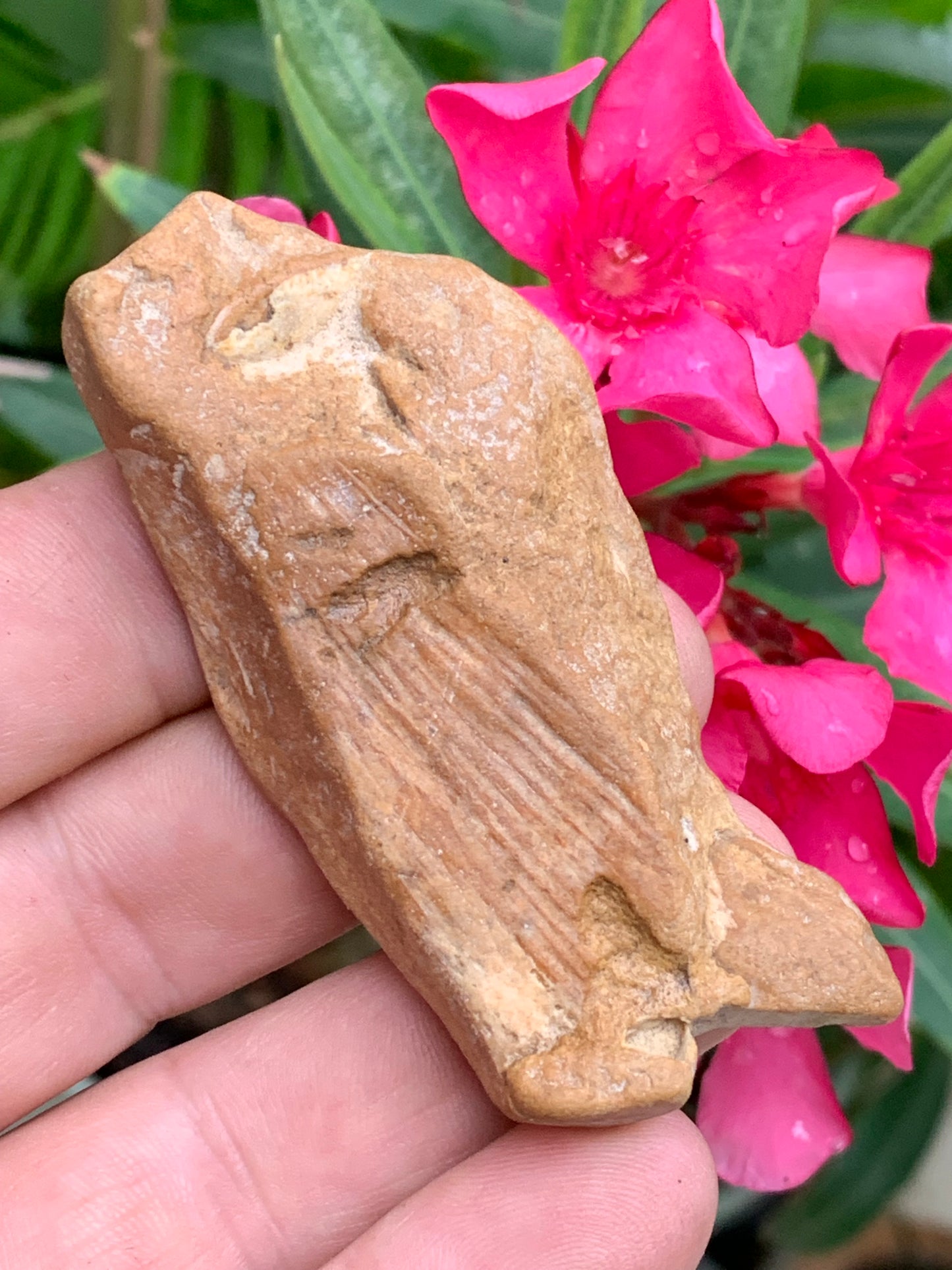 Poisson fossilisé de 7,4 x 3,6 x 1,7 centimètres / 44,7 grammes. Parfait pour décoration, collection ou exposition...