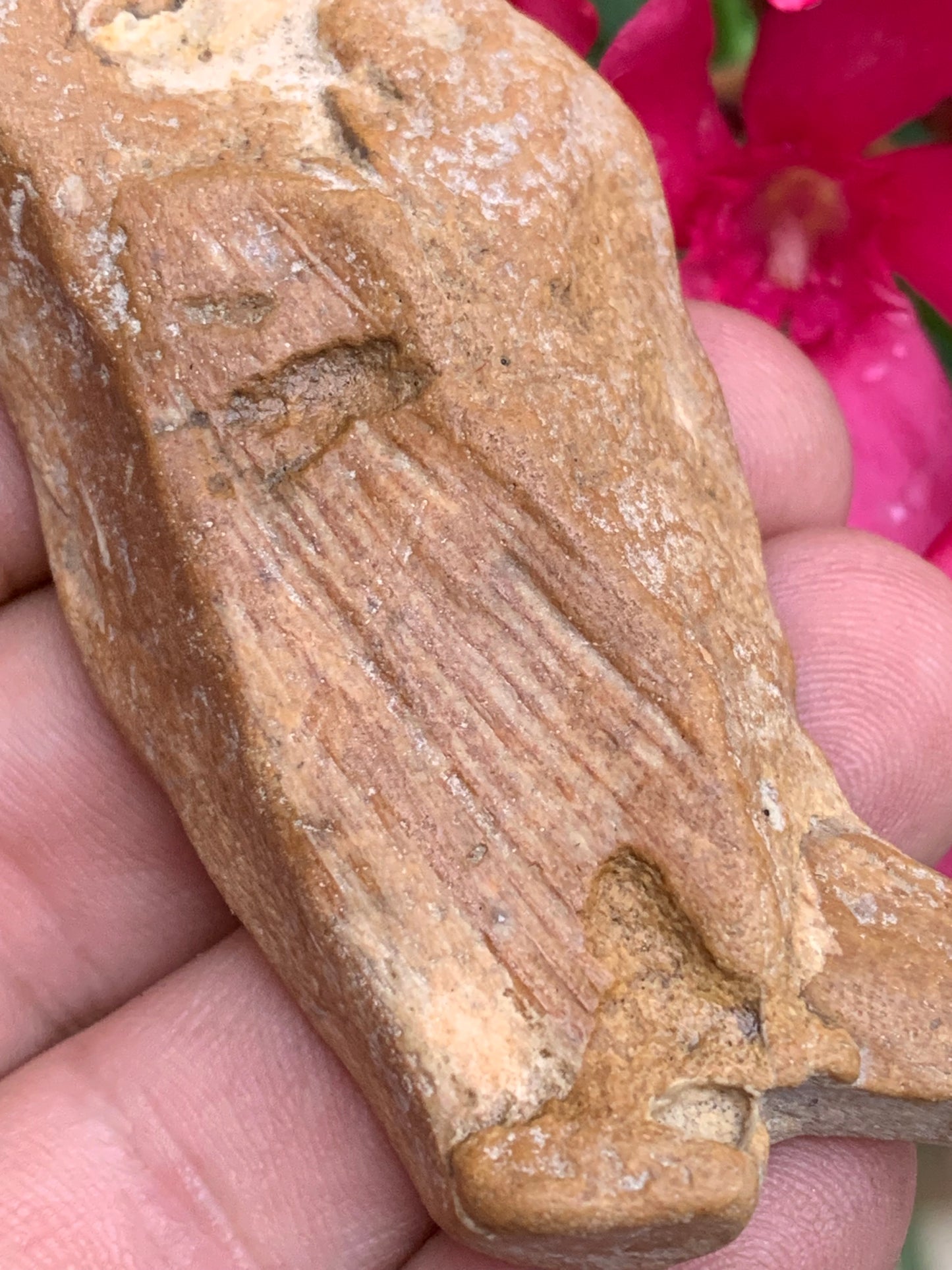 Poisson fossilisé de 7,4 x 3,6 x 1,7 centimètres / 44,7 grammes. Parfait pour décoration, collection ou exposition...