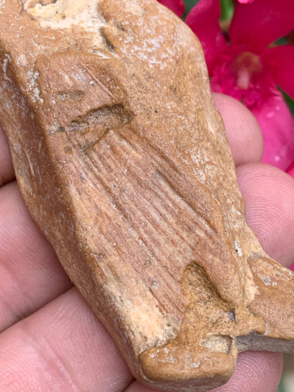 Poisson fossilisé de 7,4 x 3,6 x 1,7 centimètres / 44,7 grammes. Parfait pour décoration, collection ou exposition...