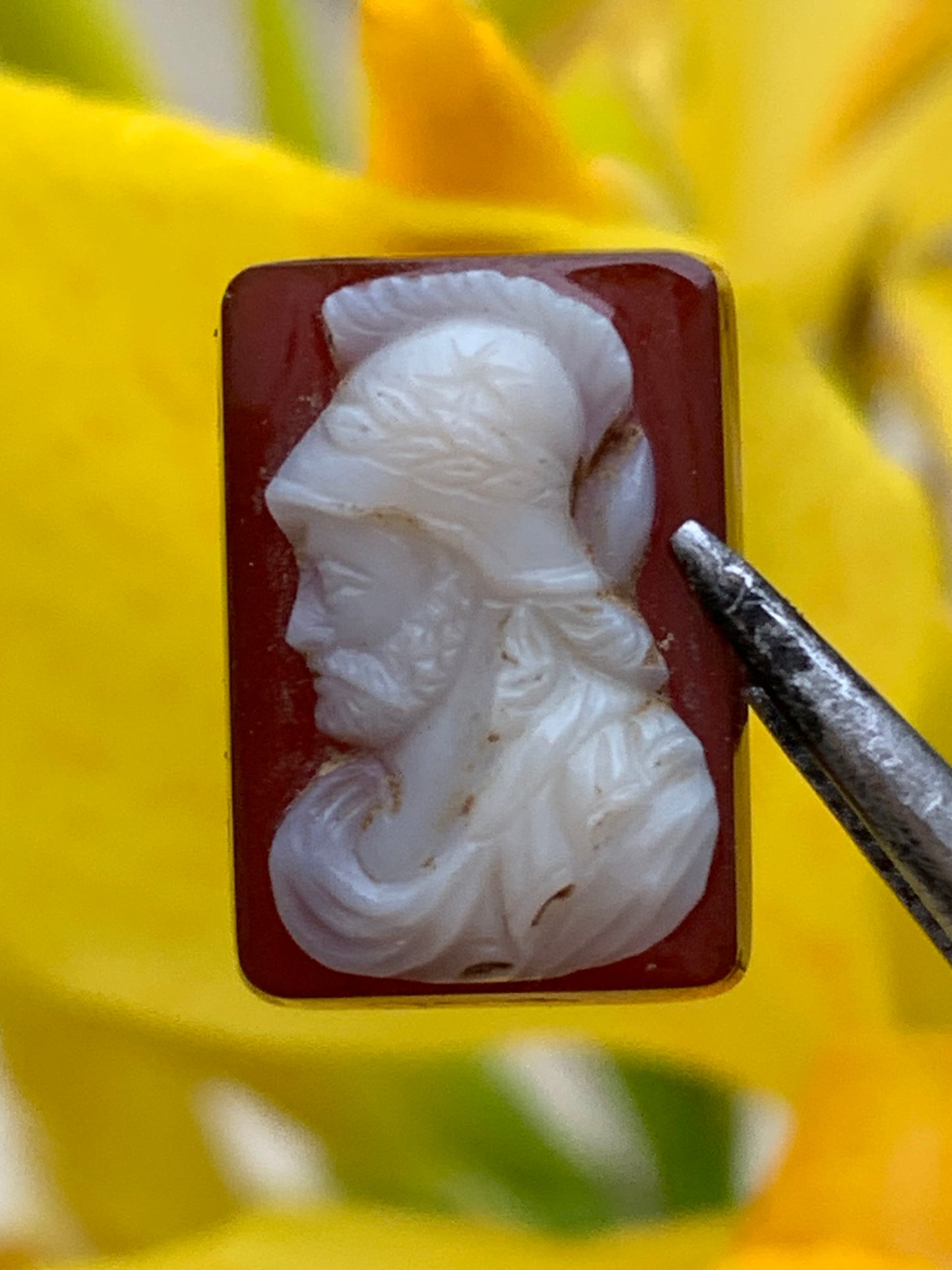 Cameo, 5 pieces of your choice in Onyx stone, 14mm x 10 x 0.3. Antique and authentic, true works of art, engraved with ultimate precision. Perfect for collection, exhibition, jewelry...