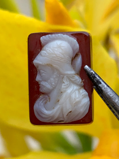 Cameo, 5 pieces of your choice in Onyx stone, 14mm x 10 x 0.3. Antique and authentic, true works of art, engraved with ultimate precision. Perfect for collection, exhibition, jewelry...