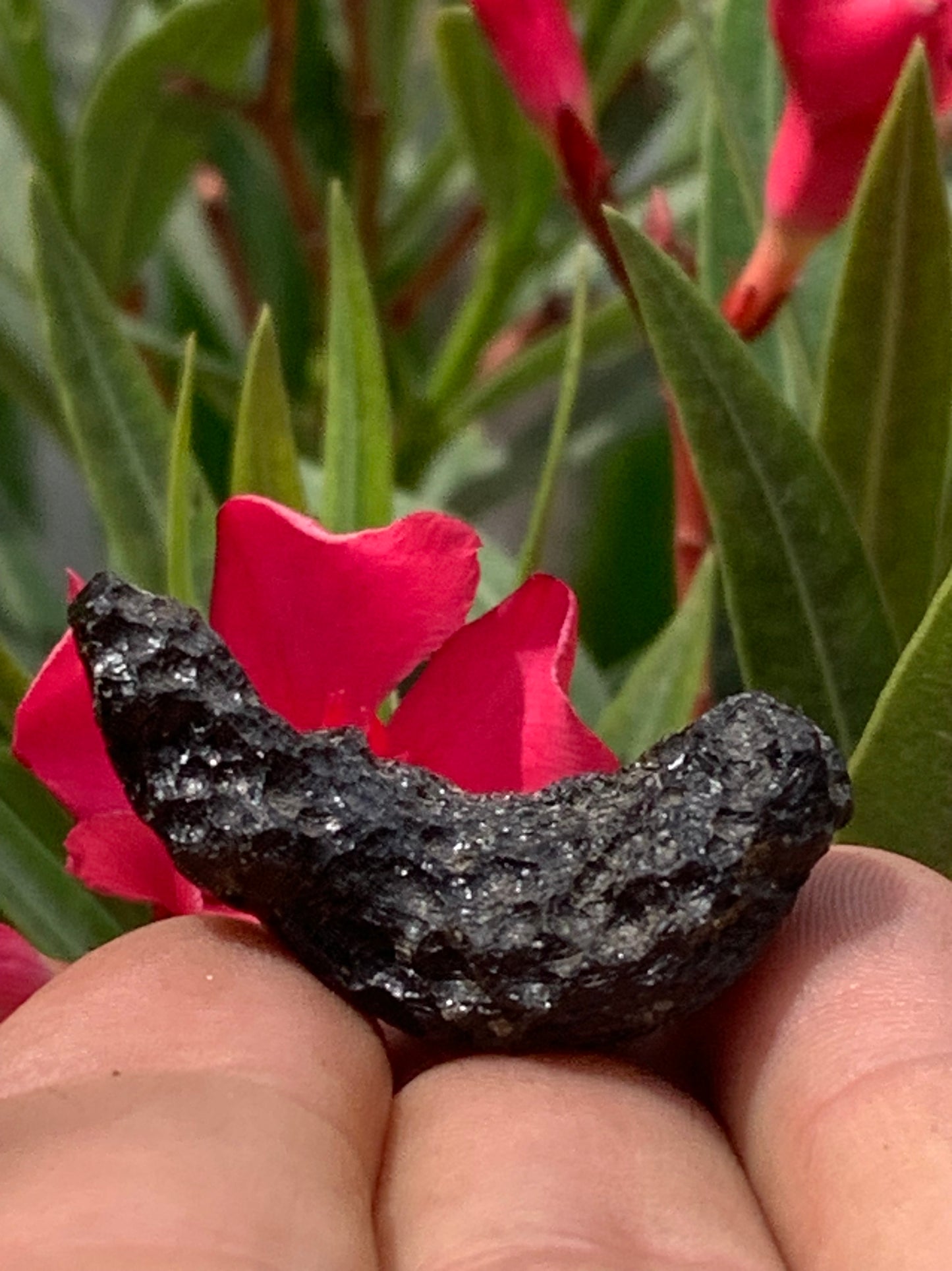 Tectite du Viet-Nam, taille de 38mm x 17 x 8 - 8,1 grammes. Fascinant, envoutant, hypnotisant !