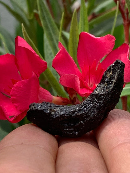 Tectite du Viet-Nam, taille de 38mm x 17 x 8 - 8,1 grammes. Fascinant, envoutant, hypnotisant !