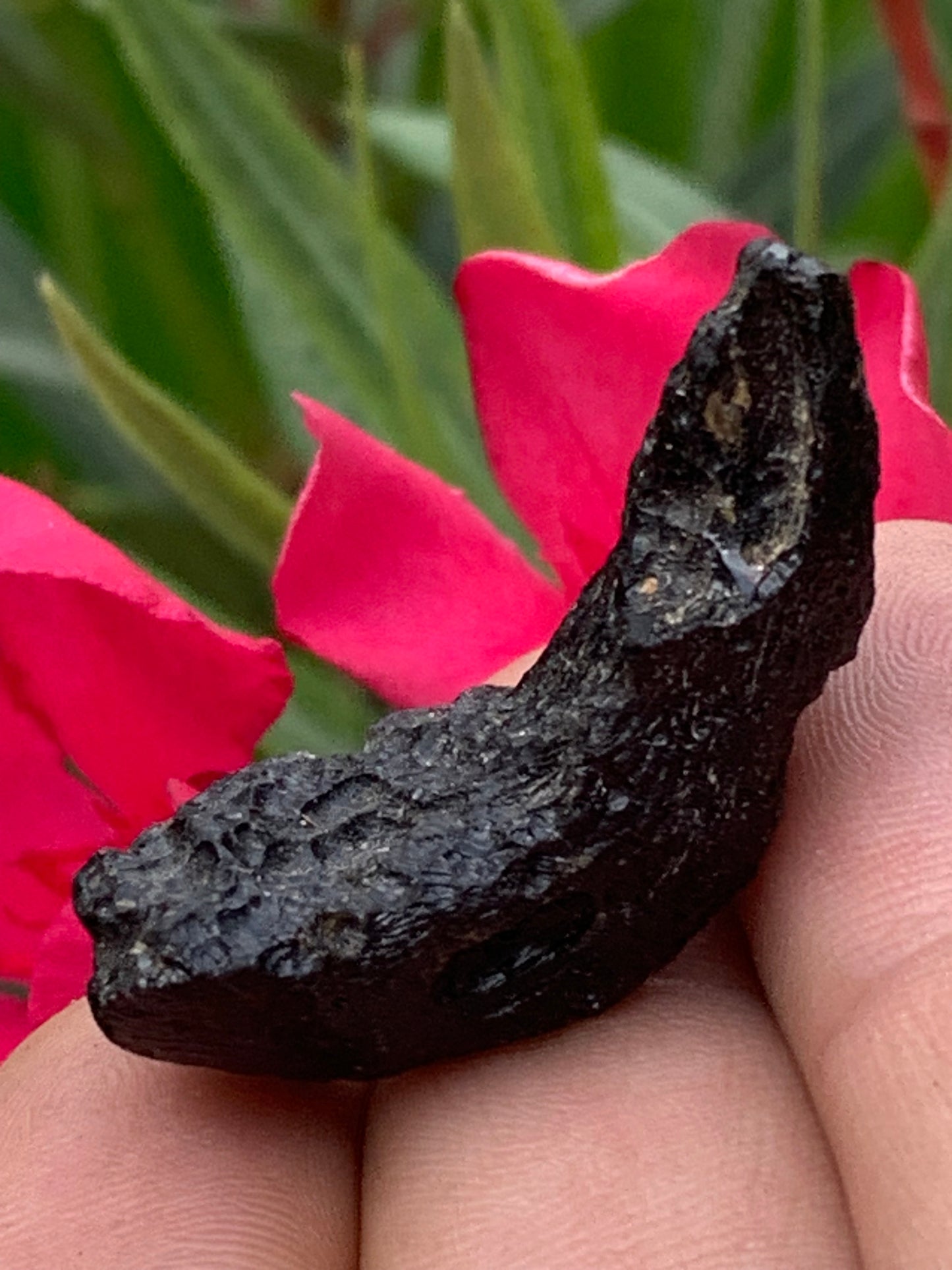 Tectite du Viet-Nam, taille de 38mm x 17 x 8 - 8,1 grammes. Fascinant, envoutant, hypnotisant !